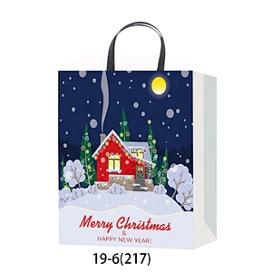Latest hot selling gift Coated Paper Bag Good style Various Christmas gift bag Packaging