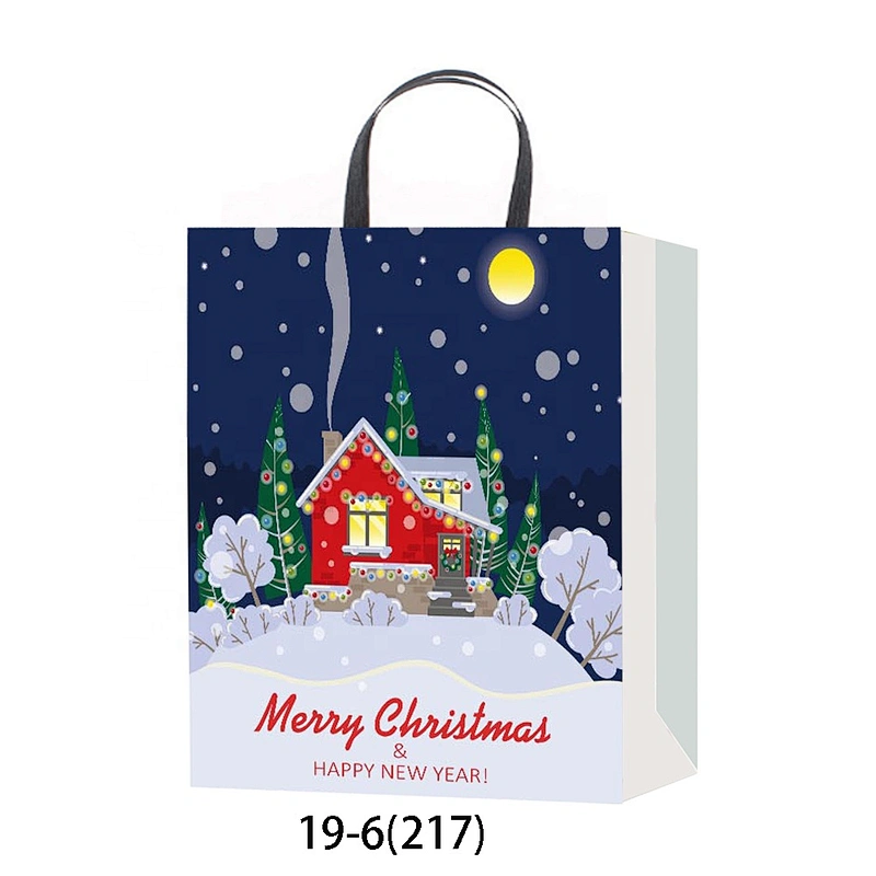 Latest hot selling gift Coated Paper Bag Good style Various Christmas gift bag Packaging