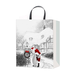 Paper Bag Gift Bags Christmas With  Customized Logo Gift Packaging Bag Various
