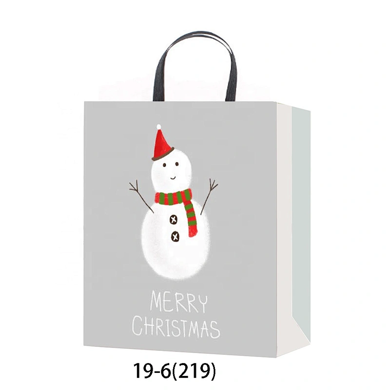 Latest hot selling gift Coated Paper Bag Good style Various Christmas gift bag Packaging