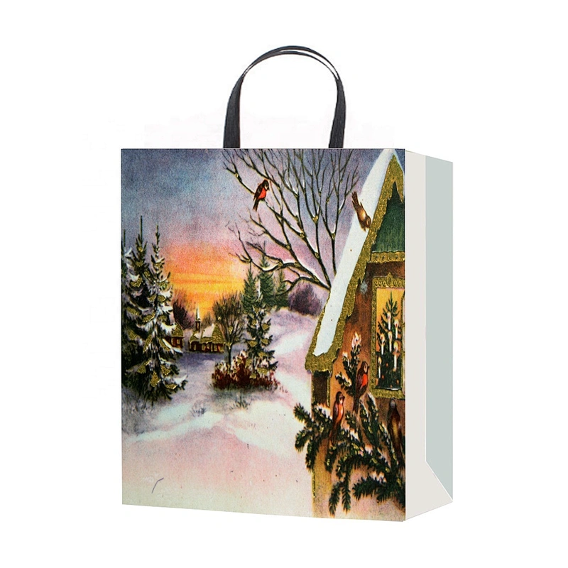 Best china low price Coated Paper Bag Factory new arrival Various Christmas gift bag Packaging
