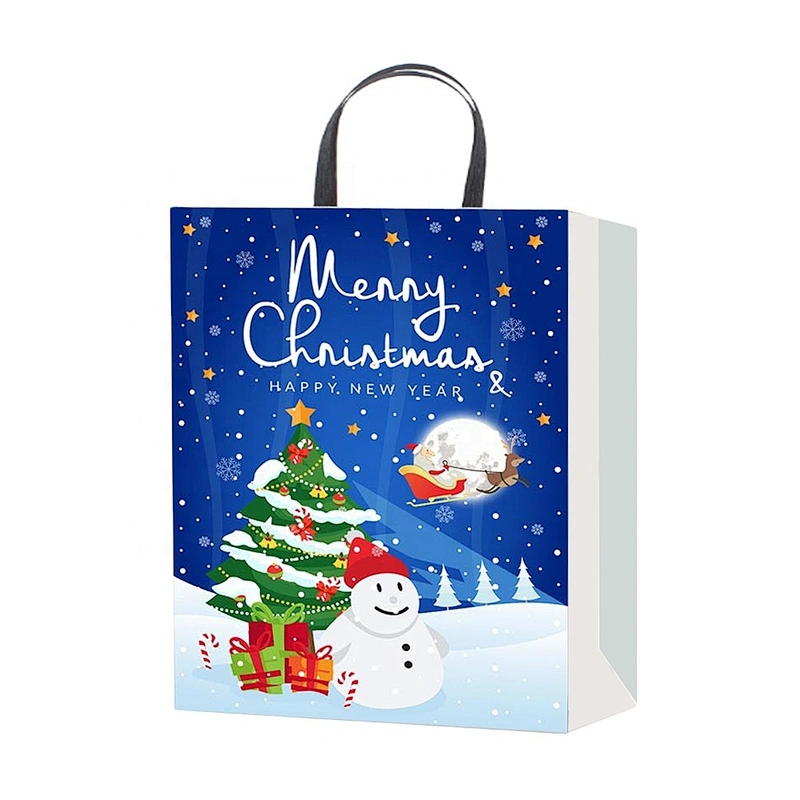 Best Selling High Quality Geometric Design Gift Bags with Flat Paper Handles  Handmade Customized