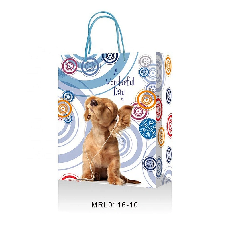 New arrived Cartoon pattern gift packaging Bag hot selling Recyclable Packaging
