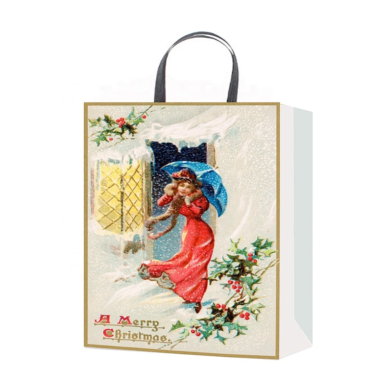 Factory newest quality Hand Length Handle packaging Bag beautiful Various Christmas gift bag Packaging