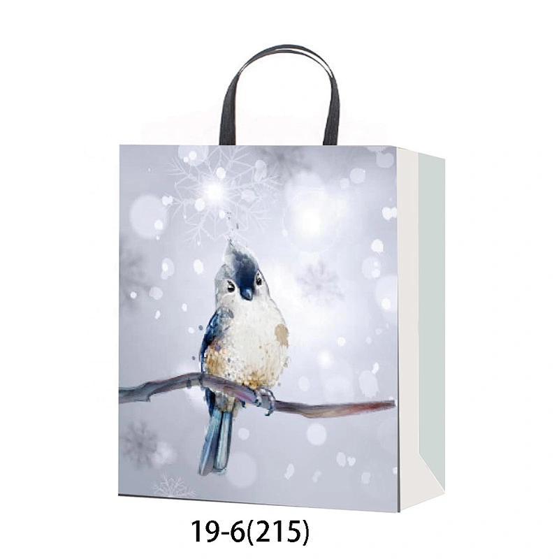 Latest hot selling gift Coated Paper Bag Good style Various Christmas gift bag Packaging