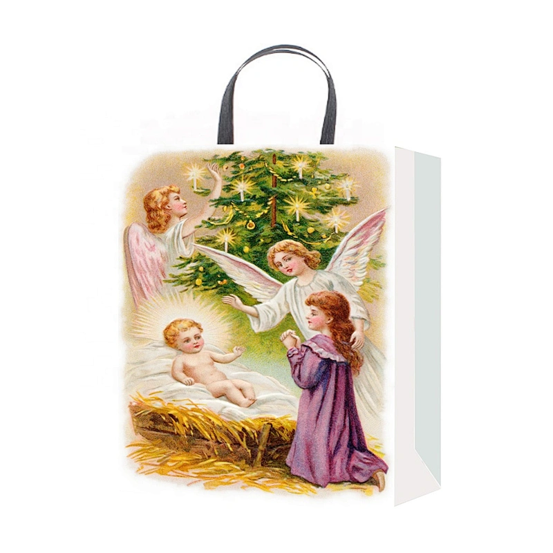 Factory newest quality Hand Length Handle packaging Bag beautiful Various Christmas gift bag Packaging