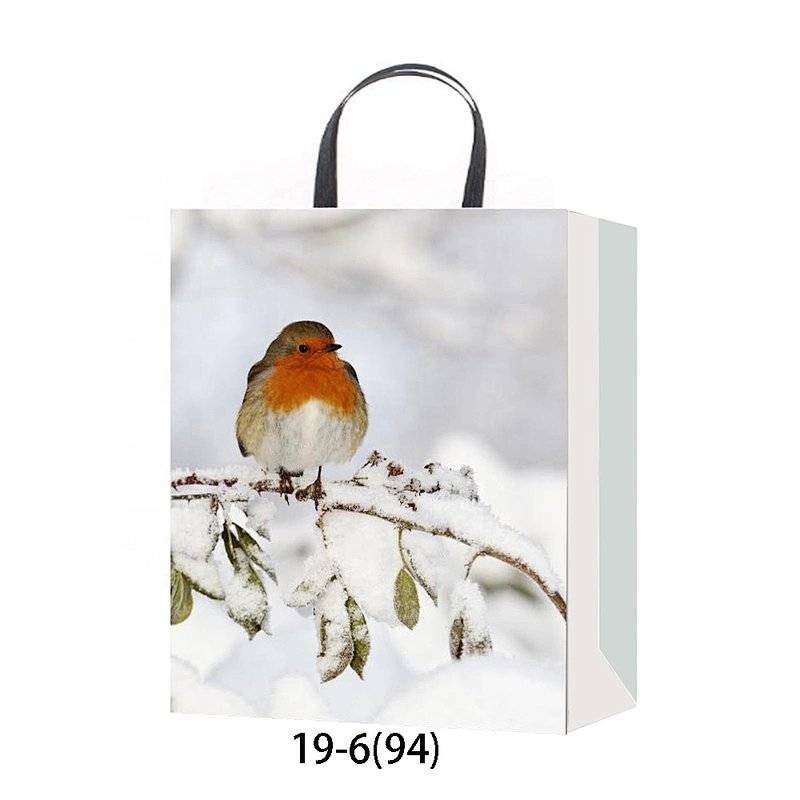 Christmas Paper Bag With Logo New Design Hot Stamping Gift Bag Packing