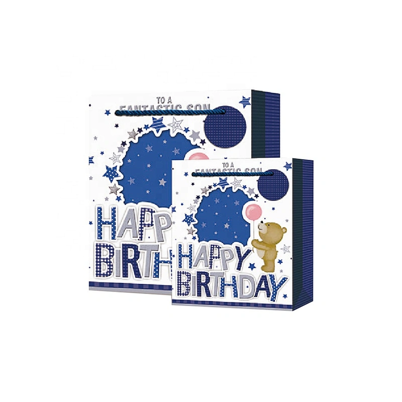 Factory latest Birthday gift bag competitive price Bear Gift Box paper Packaging