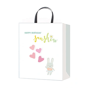 Professional china supplier Birthday gift bag hot selling Nice Recyclable Packaging
