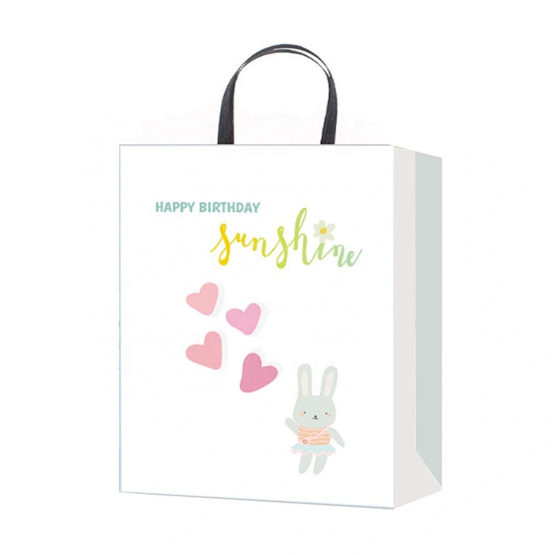 Professional china supplier Birthday gift bag hot selling Nice Recyclable Packaging
