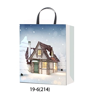 Latest hot selling gift Coated Paper Bag Good style Various Christmas gift bag Packaging