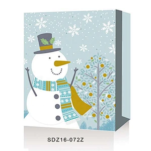 Shopping paper Gift Bags Christmas Packing With Logo Popular Gift Packaging Bag Various Christmas Gift Bag Packaging