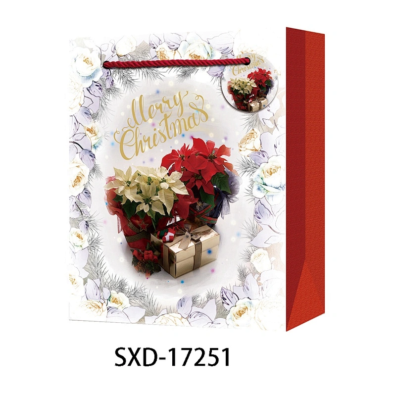 Paper Bag Christmas Shopping paper Gift Bags Logo Gift Packaging Bag Various Christmas