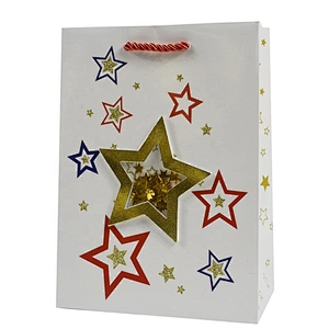Wholesale best price newly style gift Offset printing Bag fine quality Various Christmas gift bag Packaging