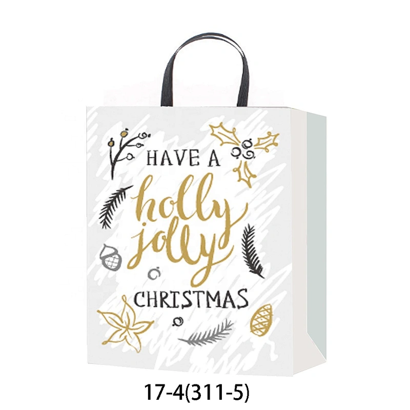 Popular hot selling gift packaging Bag Good quality Various Christmas gift bag Packaging