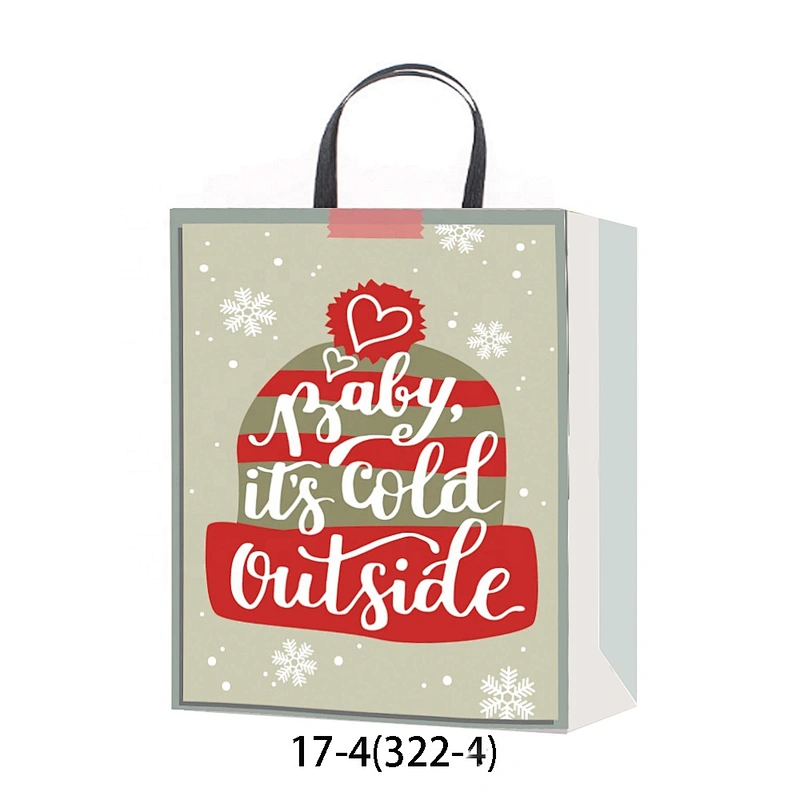 Best china low price Coated Paper Bag Factory new arrival Various Christmas gift bag Packaging
