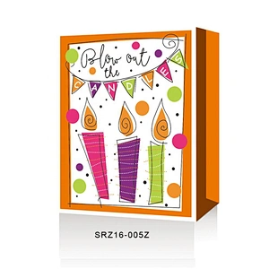 China factory Birthday gift bag Hot sale classic colorful paper Packaging