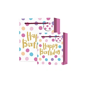 Hot sale classic Birthday gift bag Promotional sale colorful paper Packaging