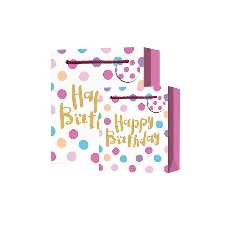 Hot sale classic Birthday gift bag Promotional sale colorful paper Packaging