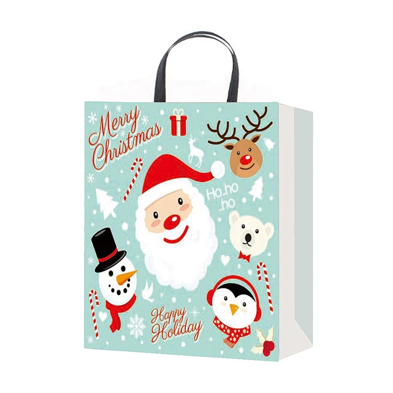 Popular hot selling gift packaging Bag Good quality Various Christmas gift bag Packaging