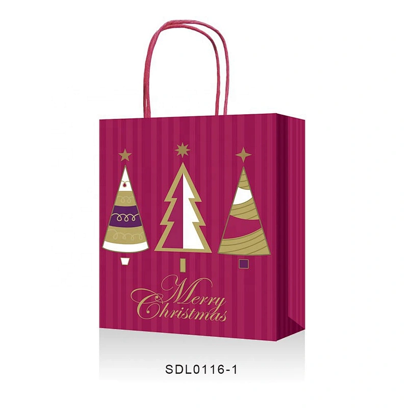 Best sell wholesale gift packaging Bag attractive style Christmas gift bag Packaging