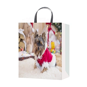 Custom oem china gift packaging Bag Good style Various Dog patterns Packaging