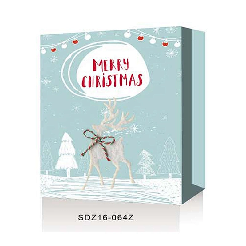 Shopping paper Gift Bags Christmas Packing With Logo Popular Gift Packaging Bag Various Christmas Gift Bag Packaging