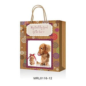 New arrived Cartoon pattern gift packaging Bag hot selling Recyclable Packaging