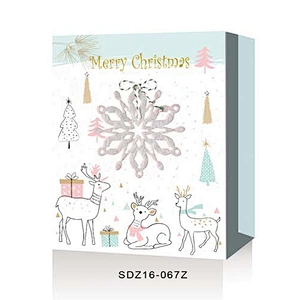 Shopping paper Gift Bags Christmas Packing With Logo Popular Gift Packaging Bag Various Christmas Gift Bag Packaging