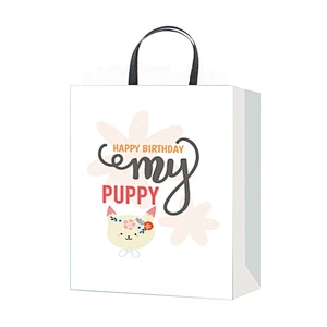 Professional china supplier Birthday gift bag hot selling Nice Recyclable Packaging