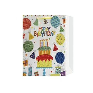 Promotional sale Birthday gift bag for children Customized good quality Kraft paper Packaging