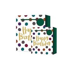 Hot sale classic Birthday gift bag Promotional sale colorful paper Packaging