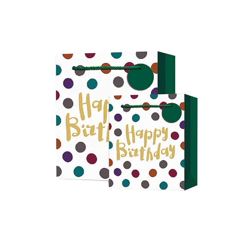 Hot sale classic Birthday gift bag Promotional sale colorful paper Packaging