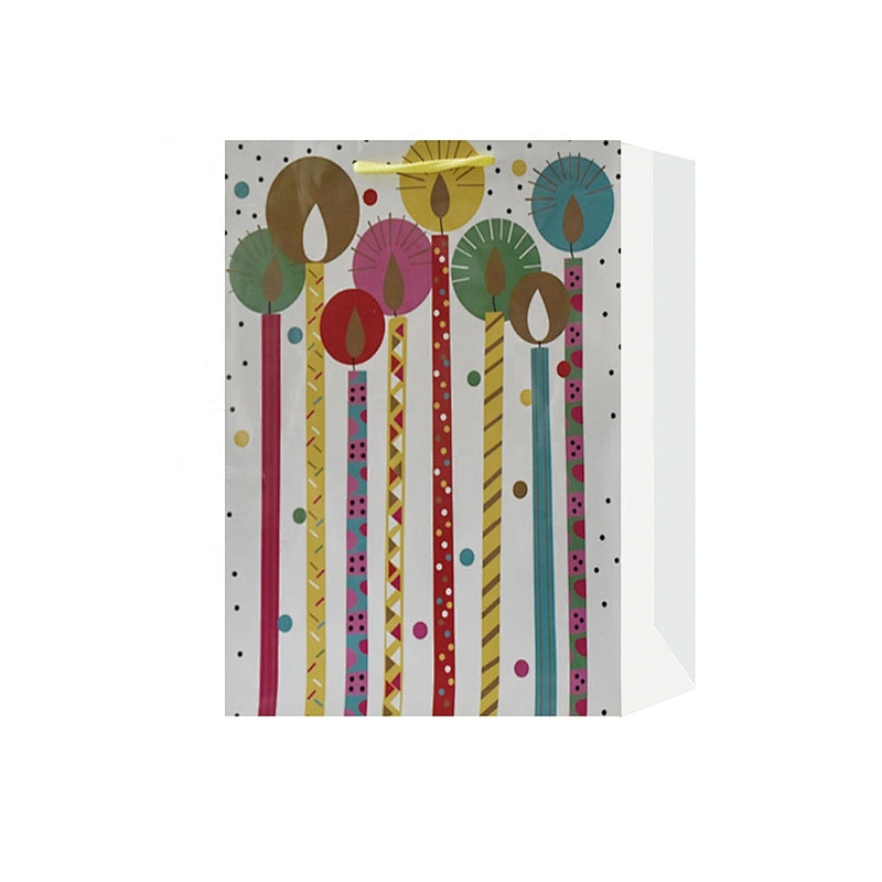 Best china low price Birthday gift bag Professional made Nice paper Packaging