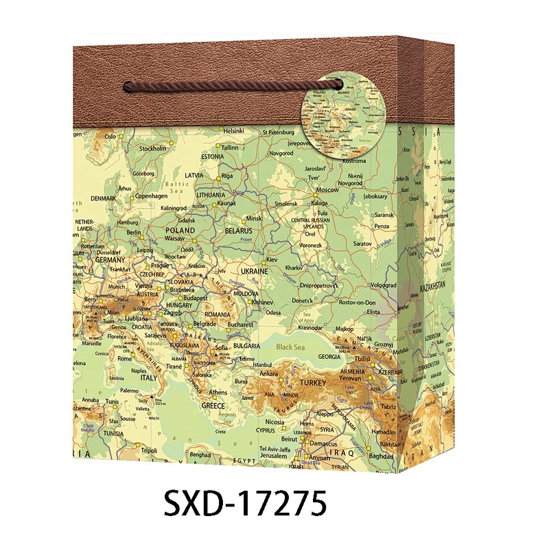 Customize Design map pattern gift packaging Bag hot selling Hand Length Handle Packaging