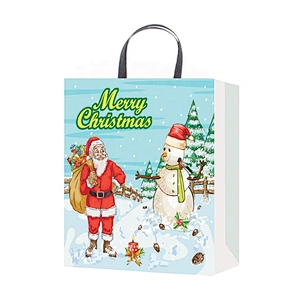 New selling superior quality gift packaging Bag Good style Various Christmas gift bag Packaging