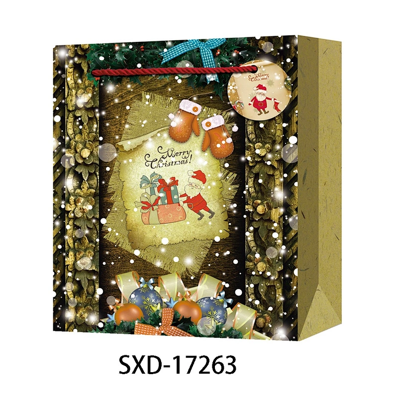 Custom Shopping Bags  Paper With Logo Popular Gift Packaging Bag Various Christmas Gift Bag Packaging