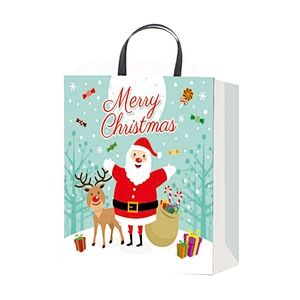Popular hot selling gift packaging Bag Good quality Various Christmas gift bag Packaging