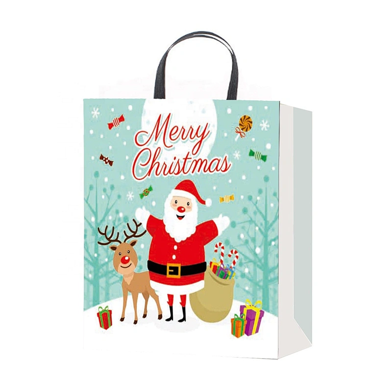 Popular hot selling gift packaging Bag Good quality Various Christmas gift bag Packaging