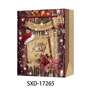 Custom Shopping Bags  Paper With Logo Popular Gift Packaging Bag Various Christmas Gift Bag Packaging