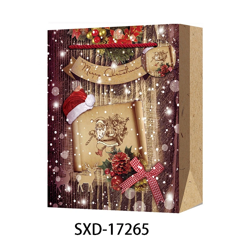 Custom Shopping Bags  Paper With Logo Popular Gift Packaging Bag Various Christmas Gift Bag Packaging