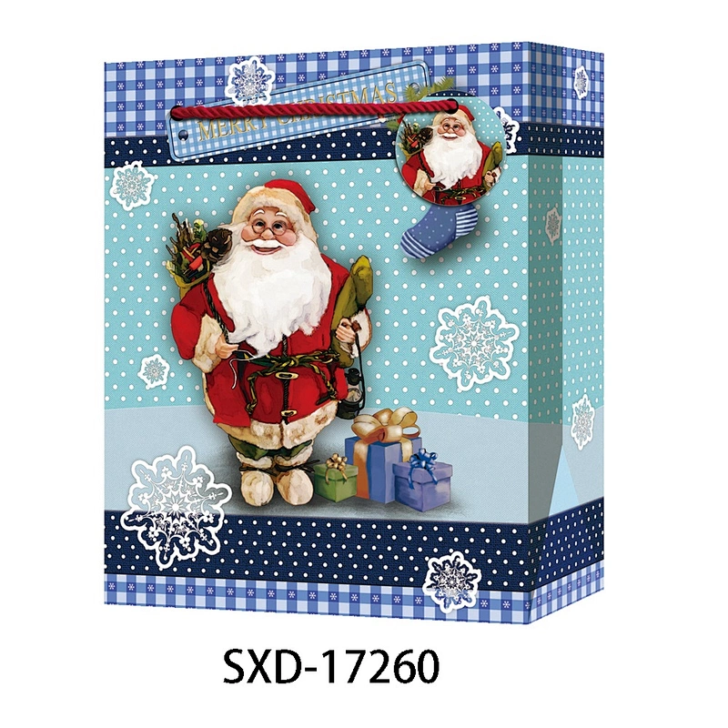 Christmas Packing Shopping paper Gift Bags Logo Popular Hot Selling Gift Packaging Bag Various Christmas Gift Bag Packaging
