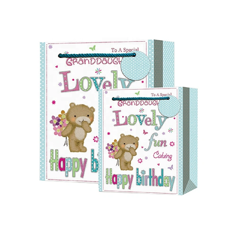 New coming Valentine's Day gift bag hot selling Bear design Gift Packaging