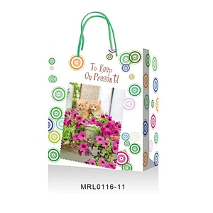 Best wholesale Coated Paper gift Bag New arrived  multicolorful Packaging