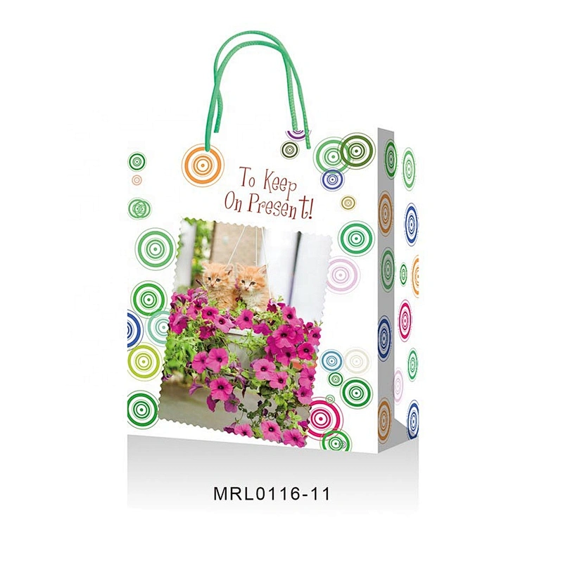 Best wholesale Coated Paper gift Bag New arrived  multicolorful Packaging