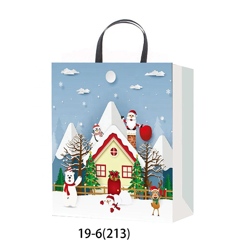 Latest hot selling gift Coated Paper Bag Good style Various Christmas gift bag Packaging