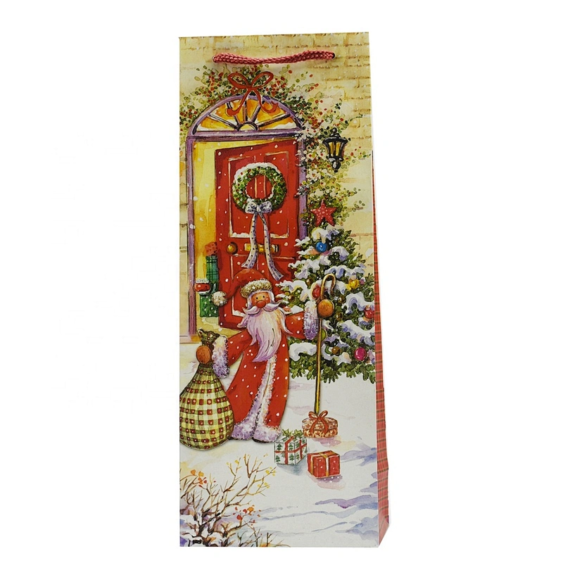 Newest selling Santa Claus Bag Good style Various Christmas gift bag Packaging