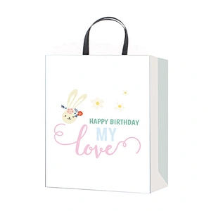 Professional china supplier Birthday gift bag hot selling Nice Recyclable Packaging