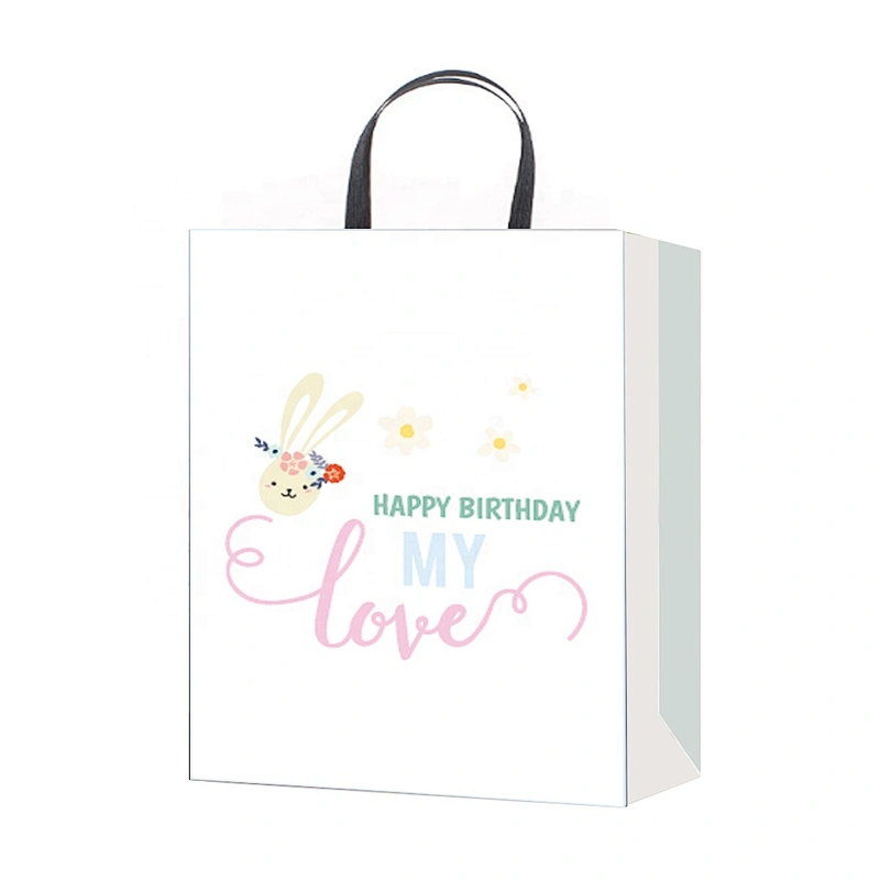 Professional china supplier Birthday gift bag hot selling Nice Recyclable Packaging