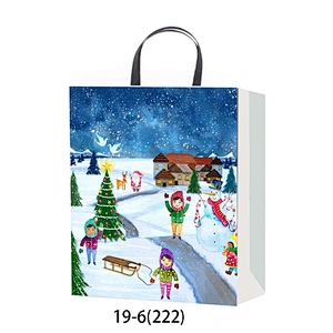 Latest hot selling gift Coated Paper Bag Good style Various Christmas gift bag Packaging